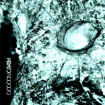 Cocoon Single Cover 2